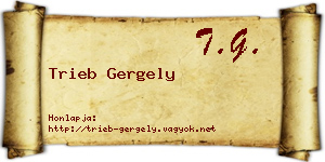 Trieb Gergely névjegykártya